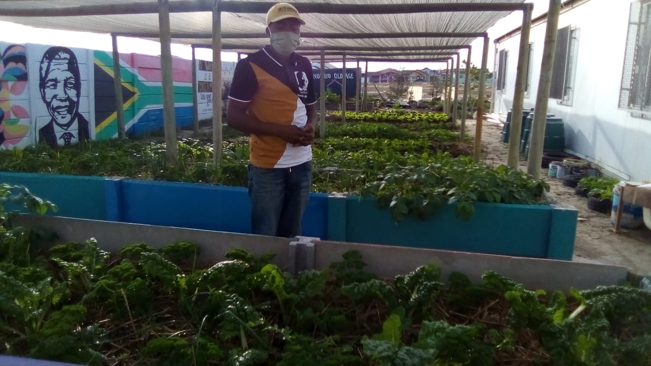 Sinovuyo Old Age Home vegetable garden