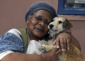 Mdzananda Animal Clinic